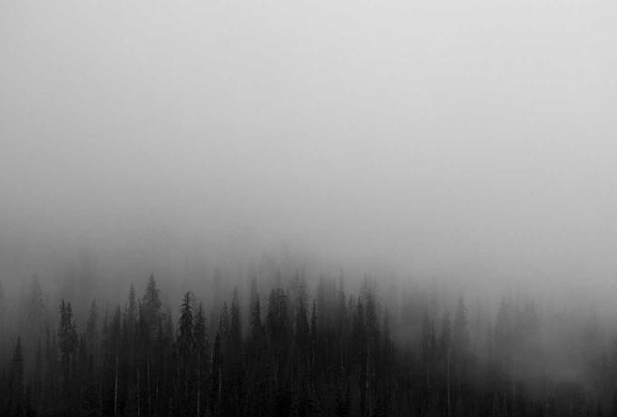 zoty中欧体育公司团队在绿色球场上的合影，绿色背景充满活力